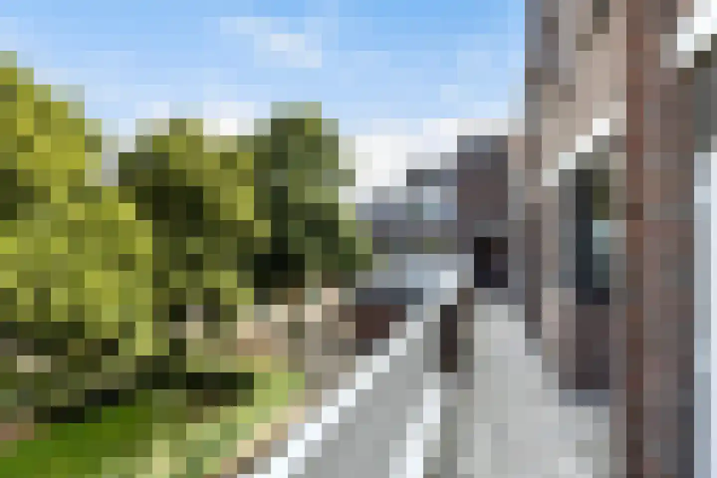 Rustenburgstraat 98 Apeldoorn thumbnail 42