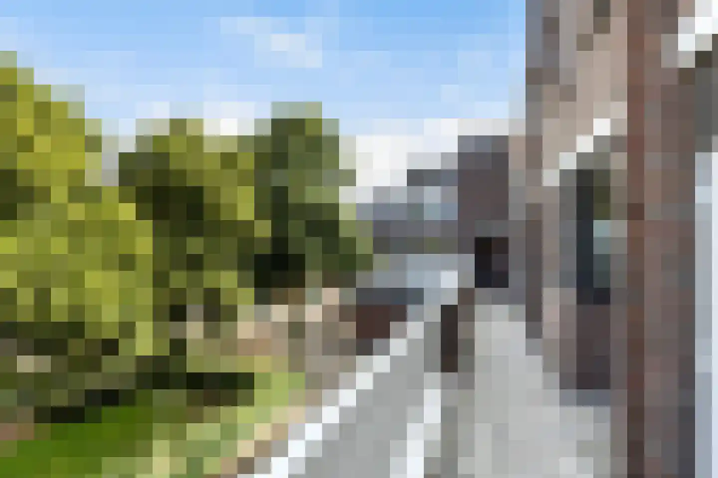 Rustenburgstraat 98 Apeldoorn thumbnail 42