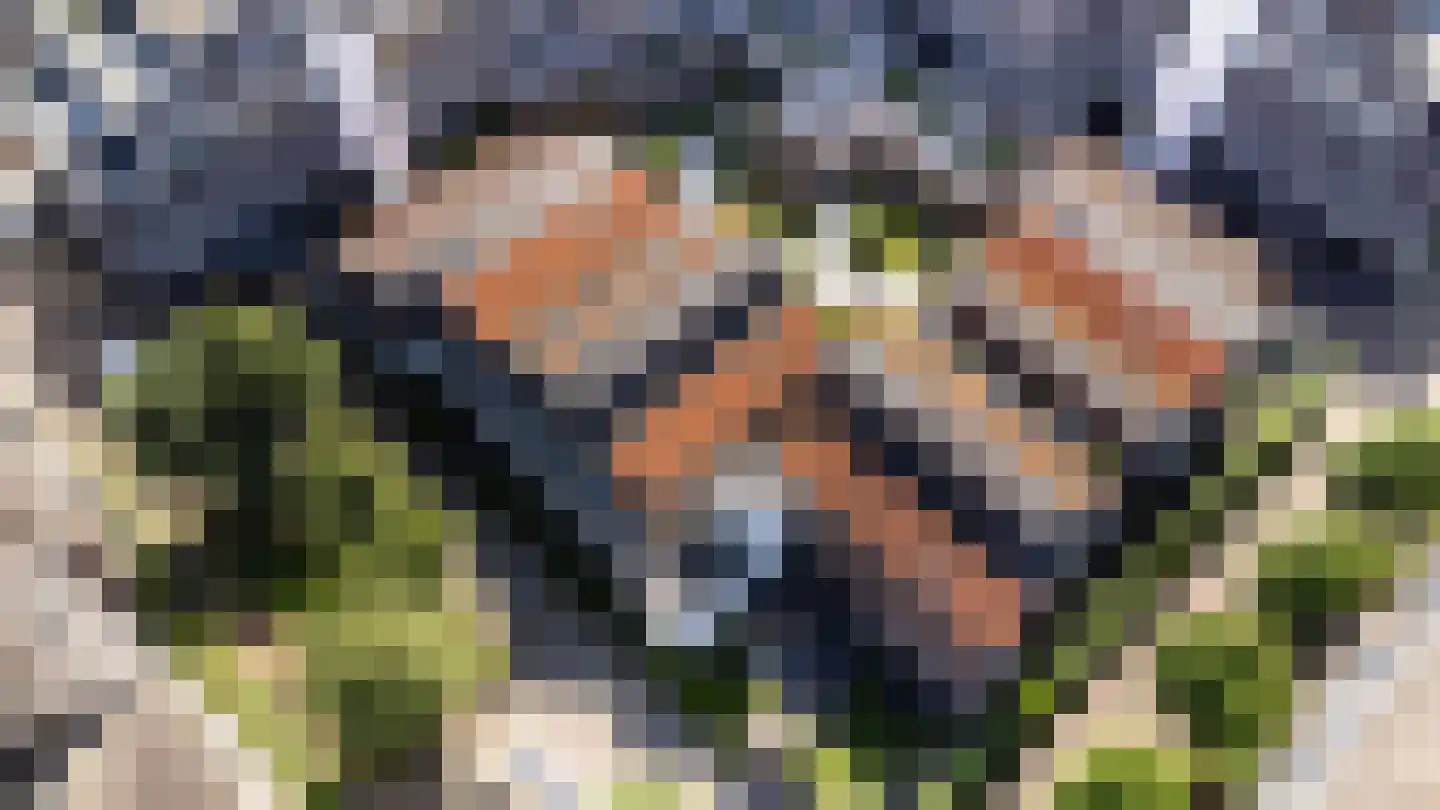 Rustenburgstraat 98 Apeldoorn thumbnail 48