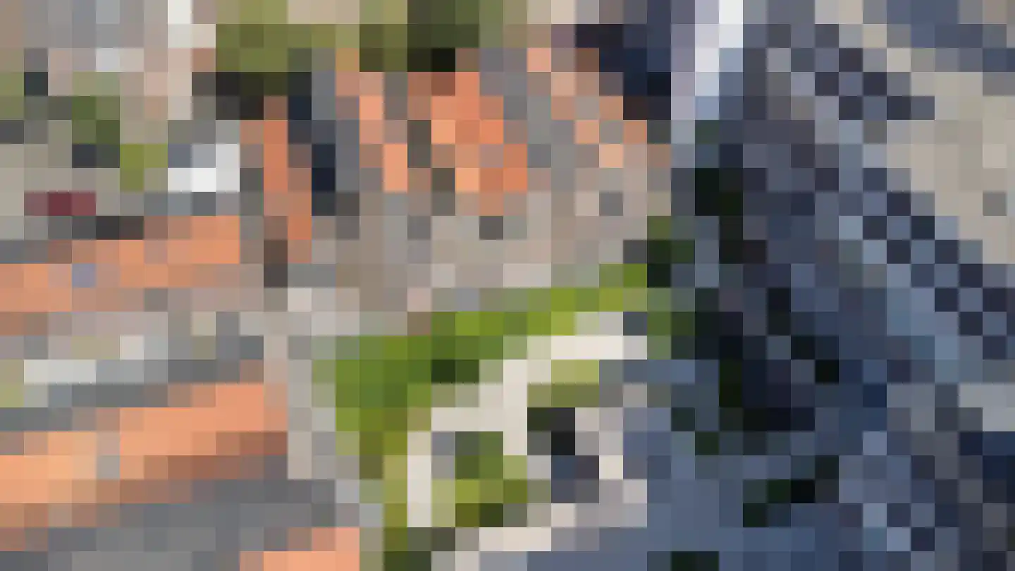 Rustenburgstraat 98 Apeldoorn thumbnail 52