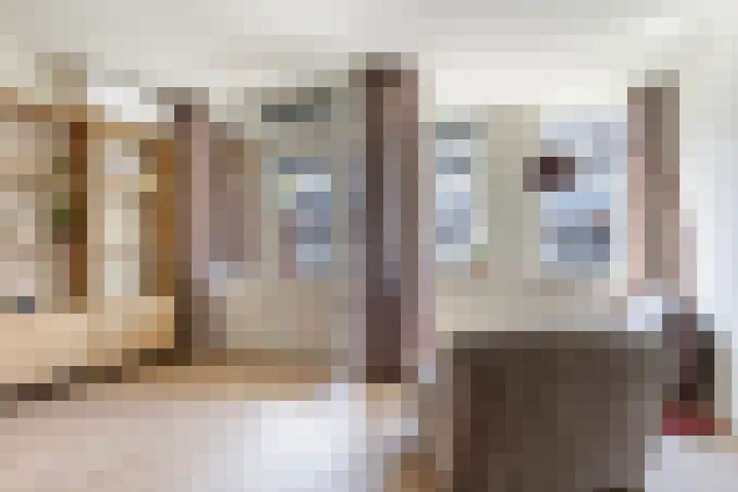 Rustenburgstraat 98 Apeldoorn thumbnail 9