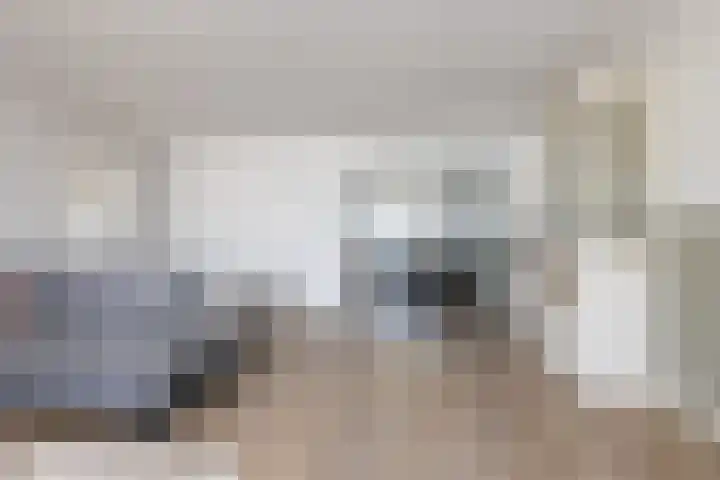 Rustenburgsweg 10 Oldebroek thumbnail 11