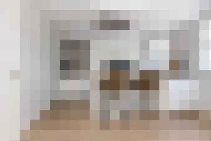 Rustenburgsweg 10 Oldebroek thumbnail 15
