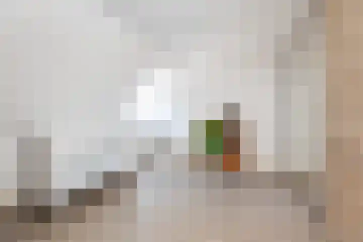 Rustenburgsweg 10 Oldebroek thumbnail 26