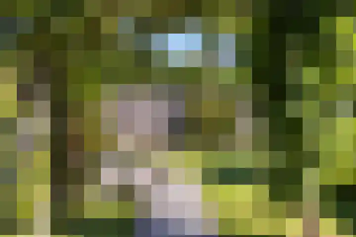 Rustenburgsweg 10 Oldebroek thumbnail 38