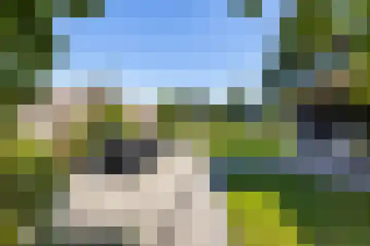 Rustenburgsweg 10 Oldebroek thumbnail 39
