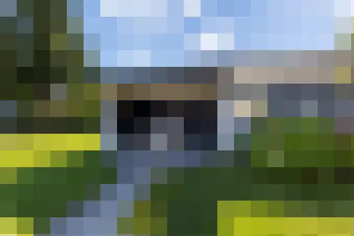 Rustenburgsweg 10 Oldebroek thumbnail 40