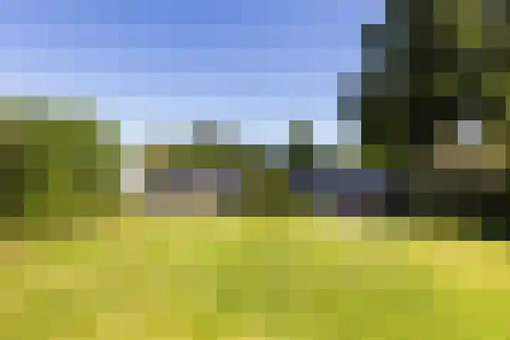 Rustenburgsweg 10 Oldebroek thumbnail 42