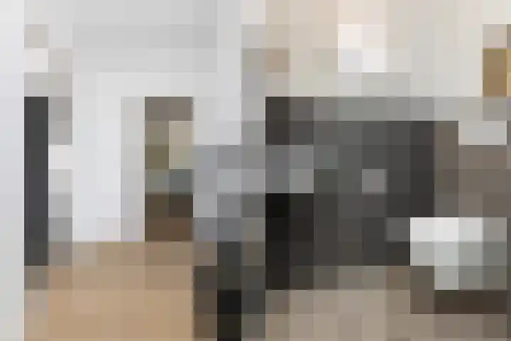 Rustenburgsweg 10 Oldebroek thumbnail 6