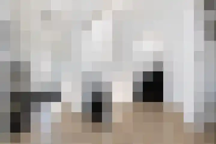 Rustenburgsweg 10 Oldebroek thumbnail 7