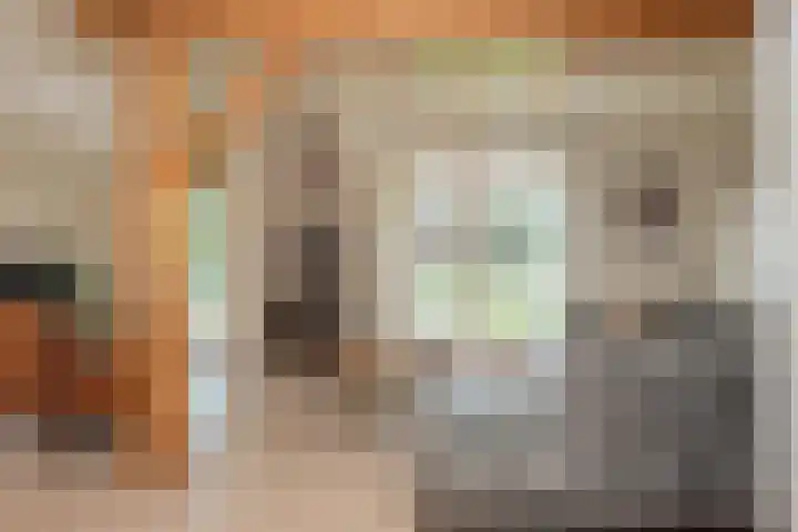 Rustenburgsweg 11 Oldebroek thumbnail 12