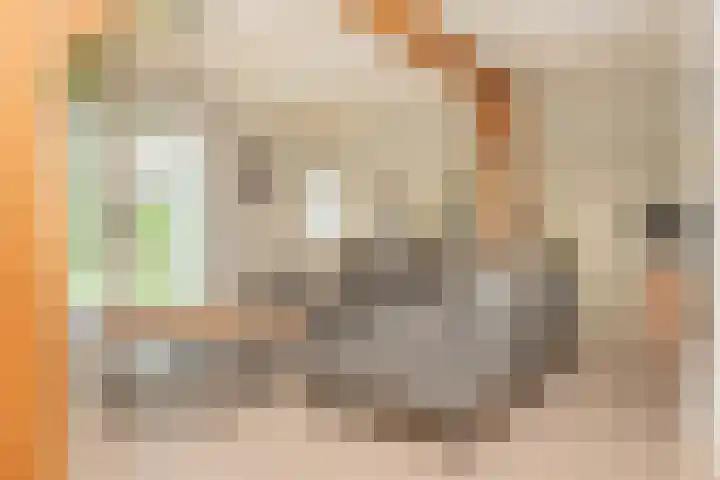 Rustenburgsweg 11 Oldebroek thumbnail 13