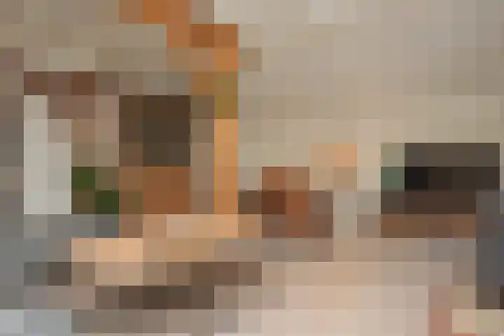 Rustenburgsweg 11 Oldebroek thumbnail 16
