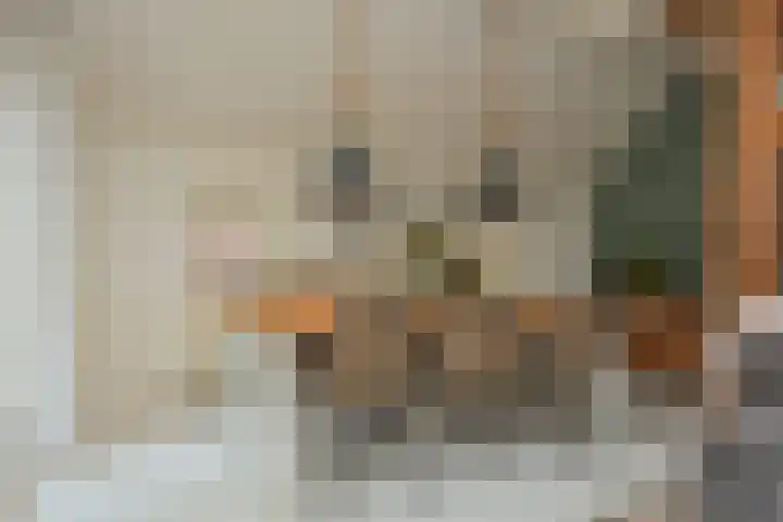 Rustenburgsweg 11 Oldebroek thumbnail 17