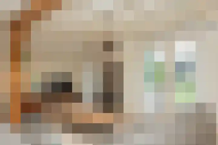 Rustenburgsweg 11 Oldebroek thumbnail 22