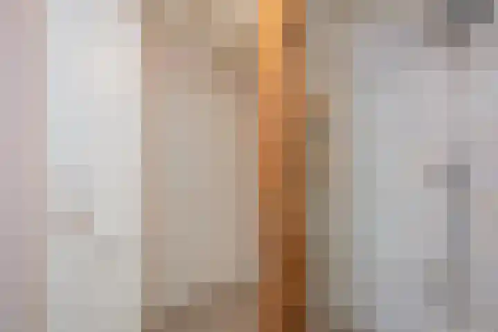 Rustenburgsweg 11 Oldebroek thumbnail 31