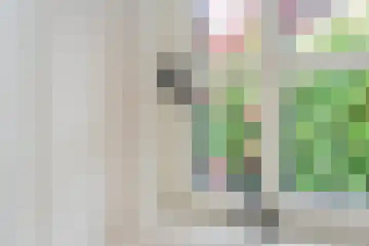 Rustenburgsweg 11 Oldebroek thumbnail 4