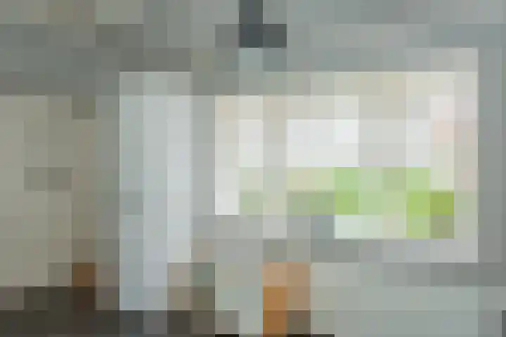 Rustenburgsweg 11 Oldebroek thumbnail 40
