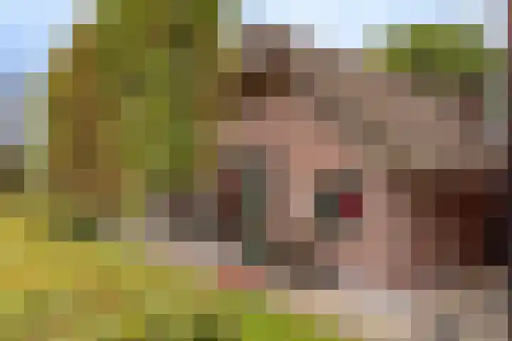 Rustenburgsweg 11 Oldebroek thumbnail 55