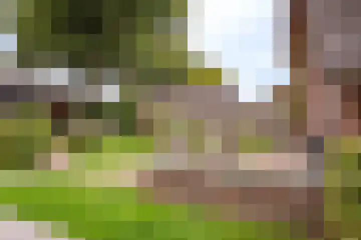 Rustenburgsweg 11 Oldebroek thumbnail 57