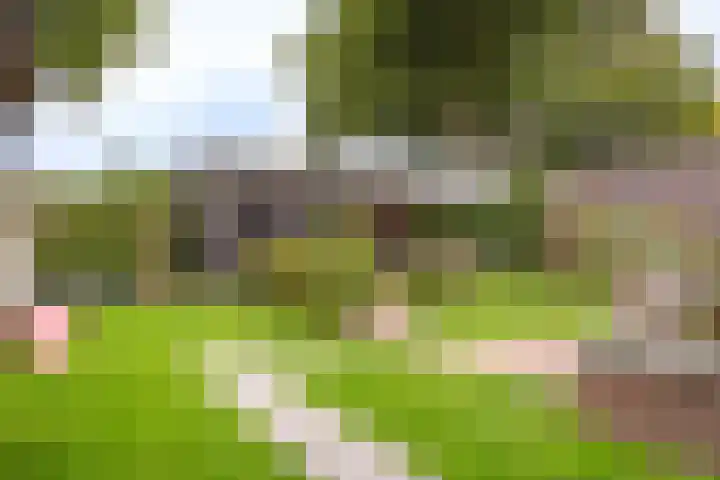 Rustenburgsweg 11 Oldebroek thumbnail 58