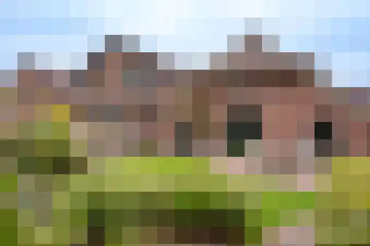 Rustenburgsweg 11 Oldebroek thumbnail 62