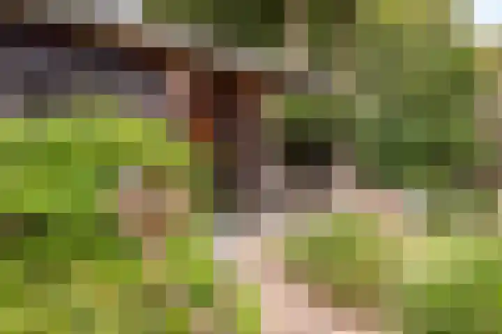 Rustenburgsweg 11 Oldebroek thumbnail 63