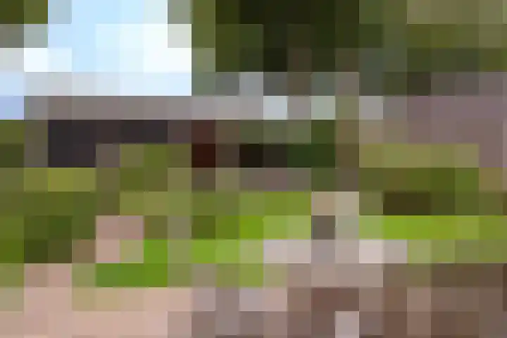 Rustenburgsweg 11 Oldebroek thumbnail 65