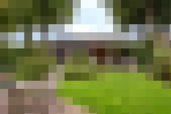 Rustenburgsweg 11 Oldebroek thumbnail 66