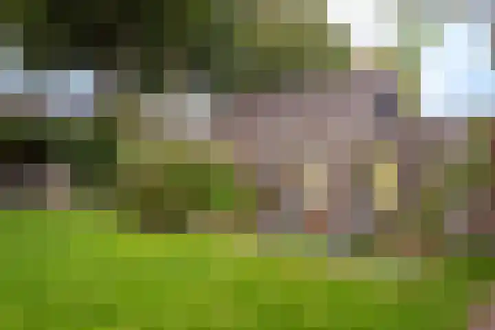 Rustenburgsweg 11 Oldebroek thumbnail 67