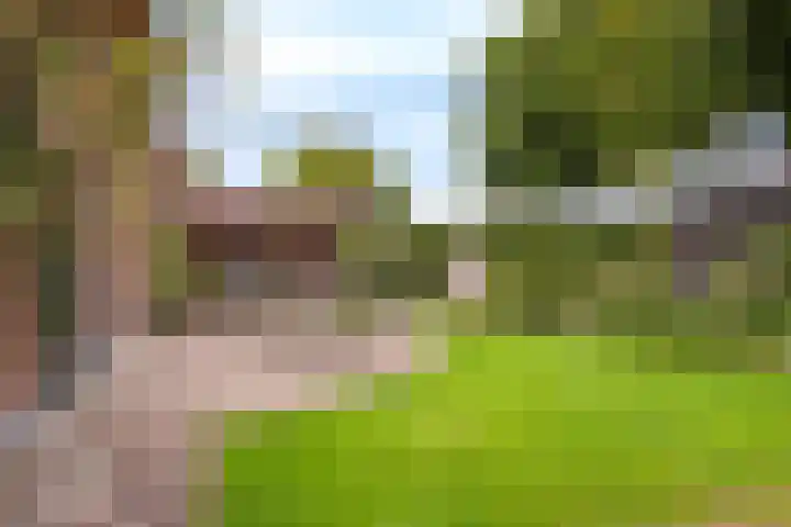 Rustenburgsweg 11 Oldebroek thumbnail 68