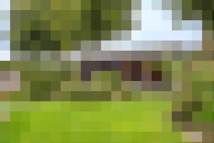Rustenburgsweg 11 Oldebroek thumbnail 70