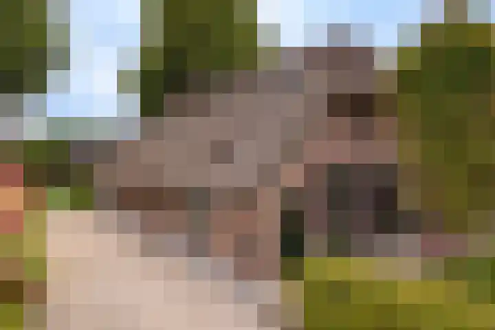 Rustenburgsweg 11 Oldebroek thumbnail 76