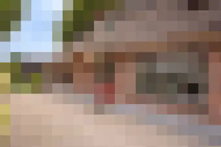 Rustenburgsweg 11 Oldebroek thumbnail 8
