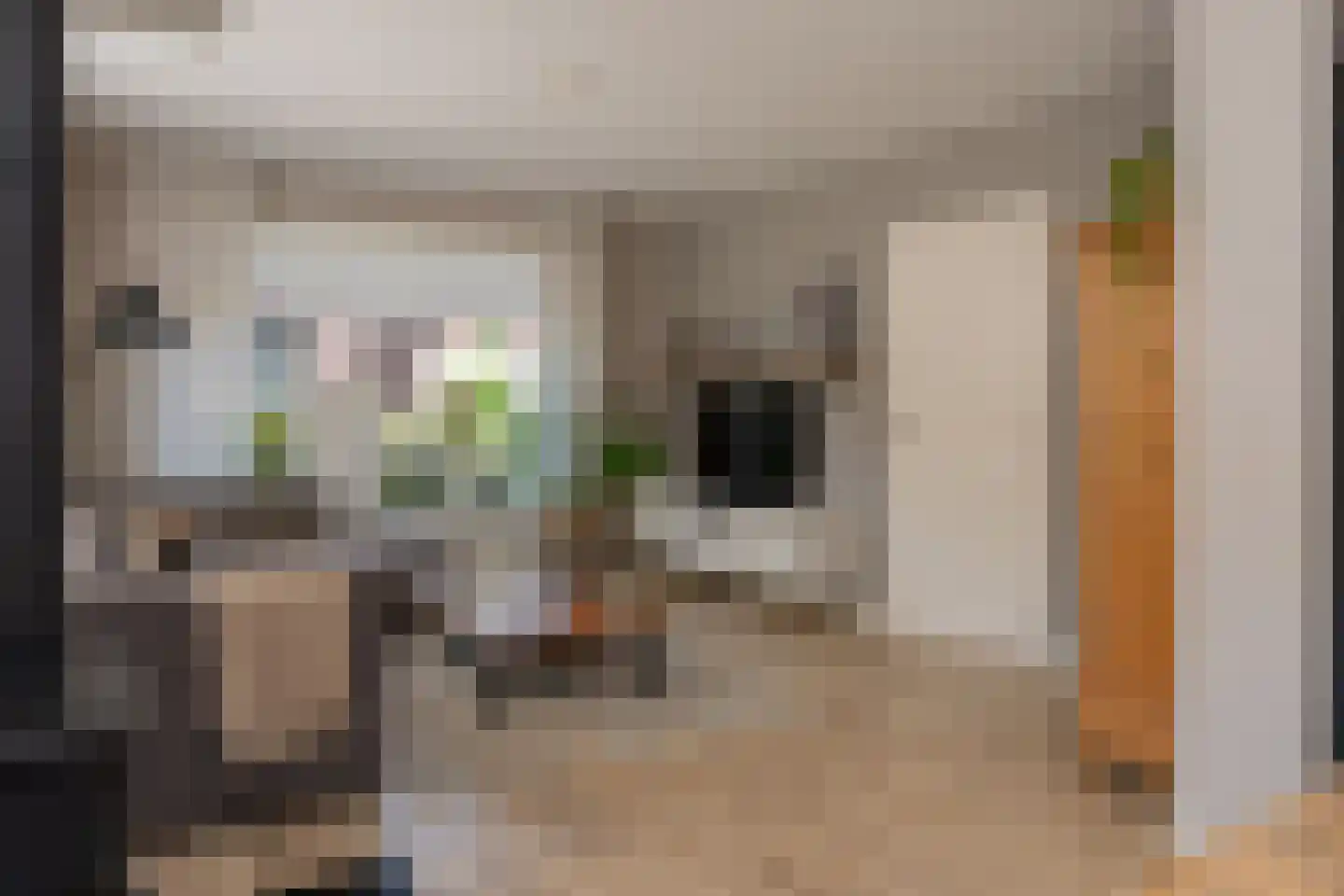Rustenburgsweg 6 Oldebroek thumbnail 13