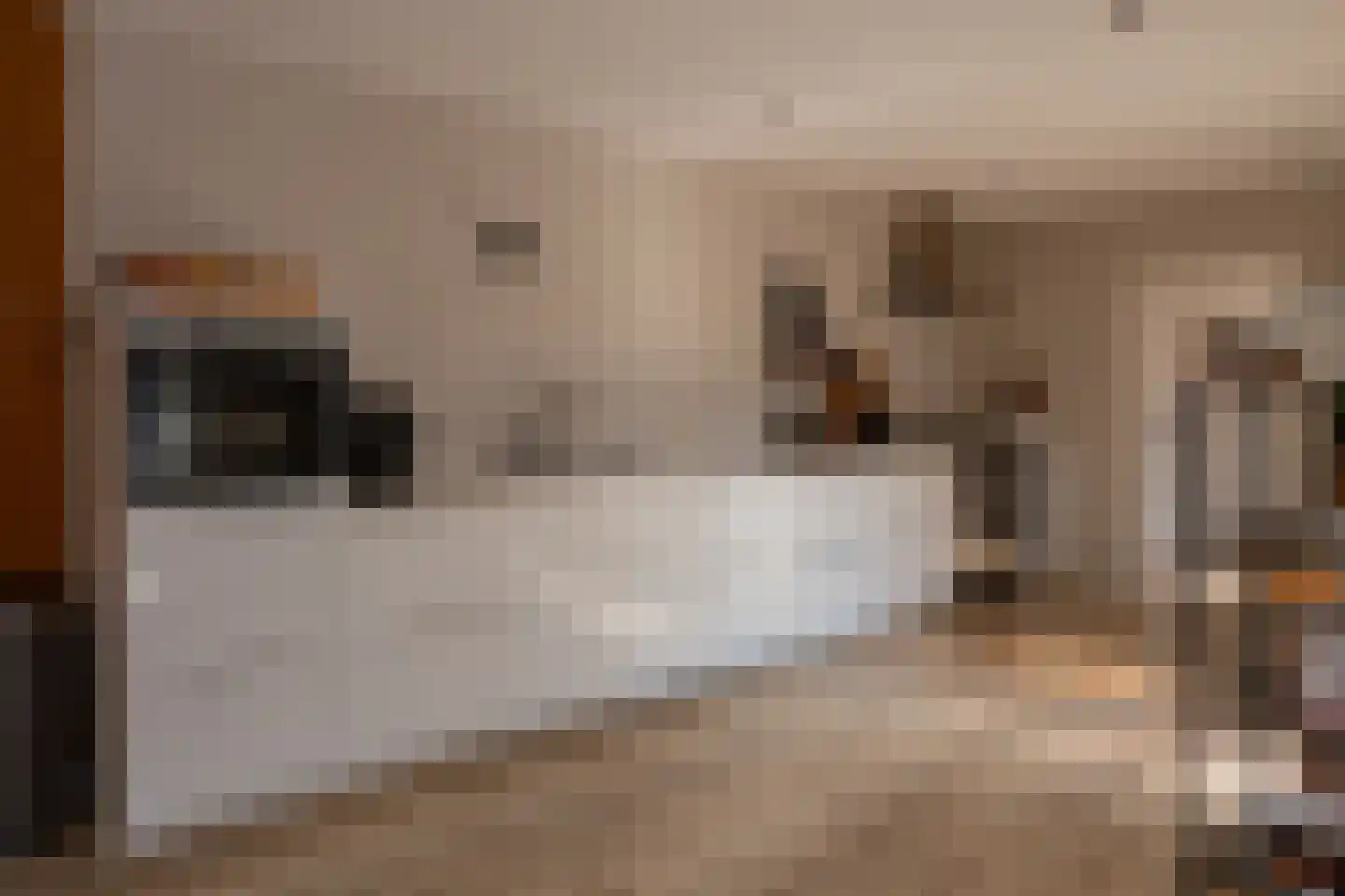 Rustenburgsweg 6 Oldebroek thumbnail 15