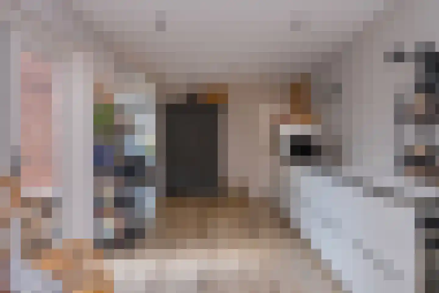 Rustenburgsweg 6 Oldebroek thumbnail 17