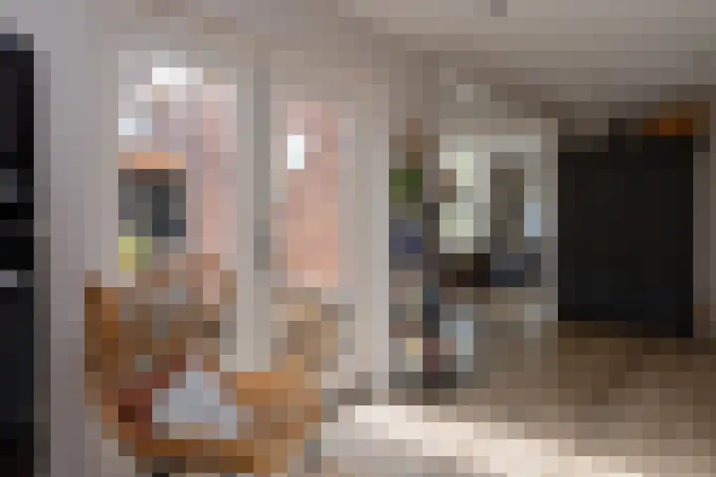 Rustenburgsweg 6 Oldebroek thumbnail 18