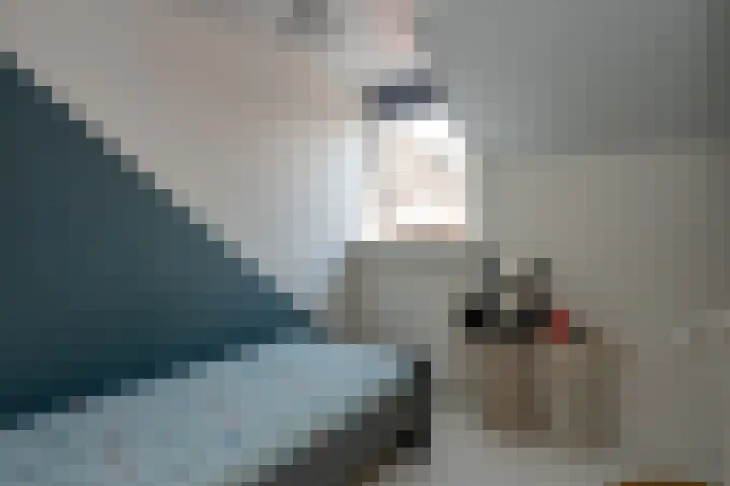 Rustenburgsweg 6 Oldebroek thumbnail 26