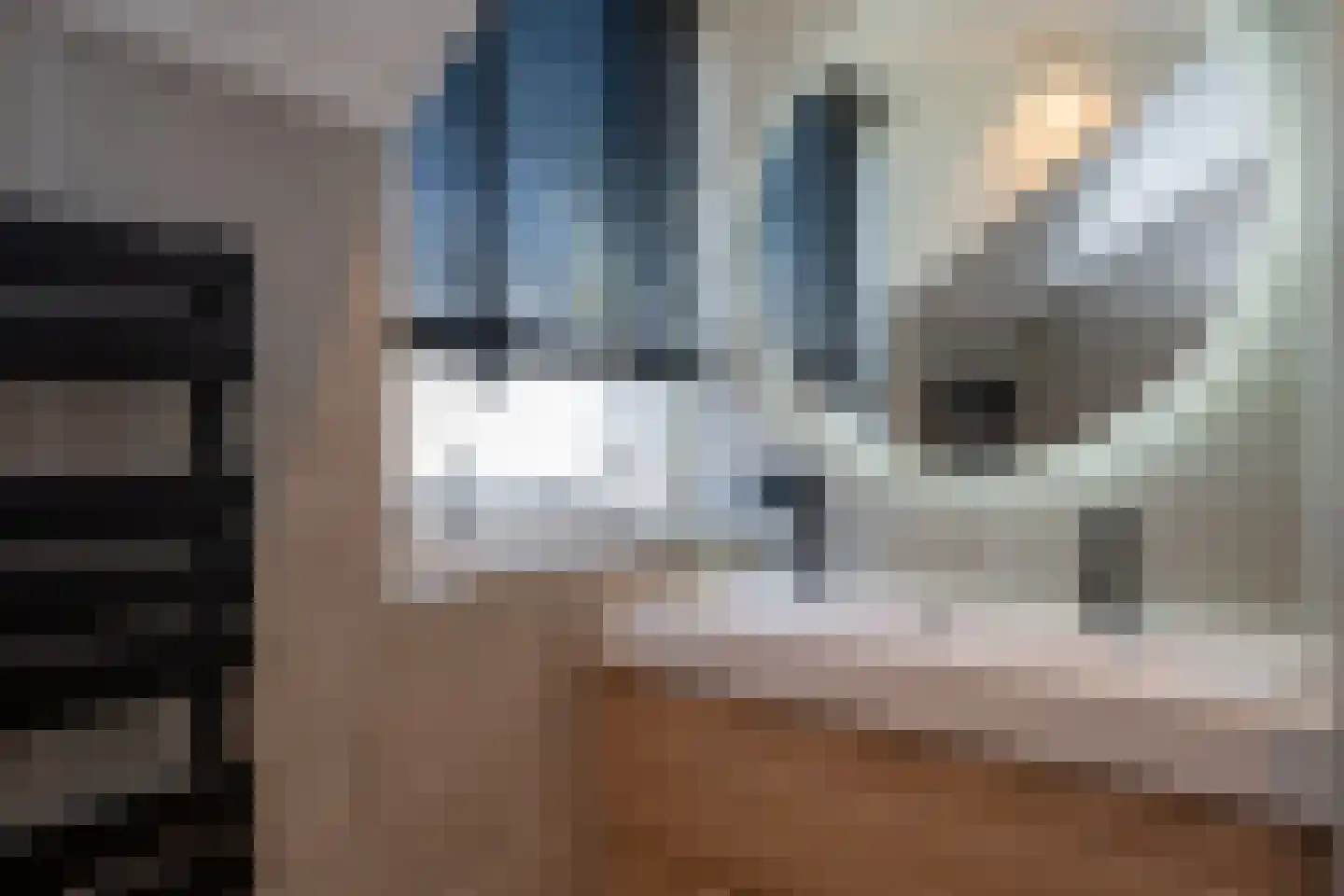 Rustenburgsweg 6 Oldebroek thumbnail 31