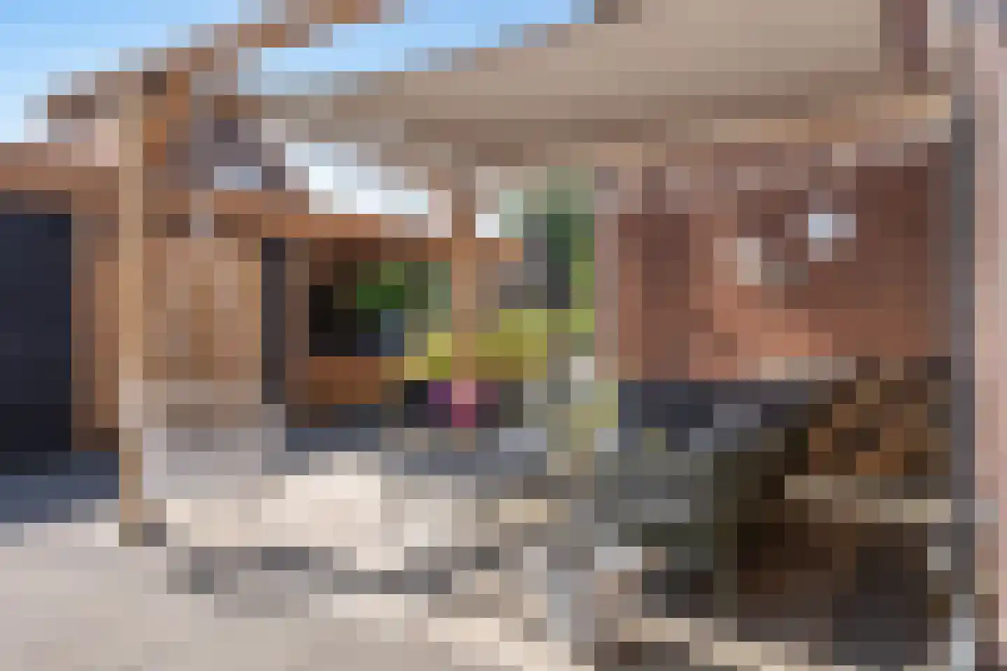 Rustenburgsweg 6 Oldebroek thumbnail 35