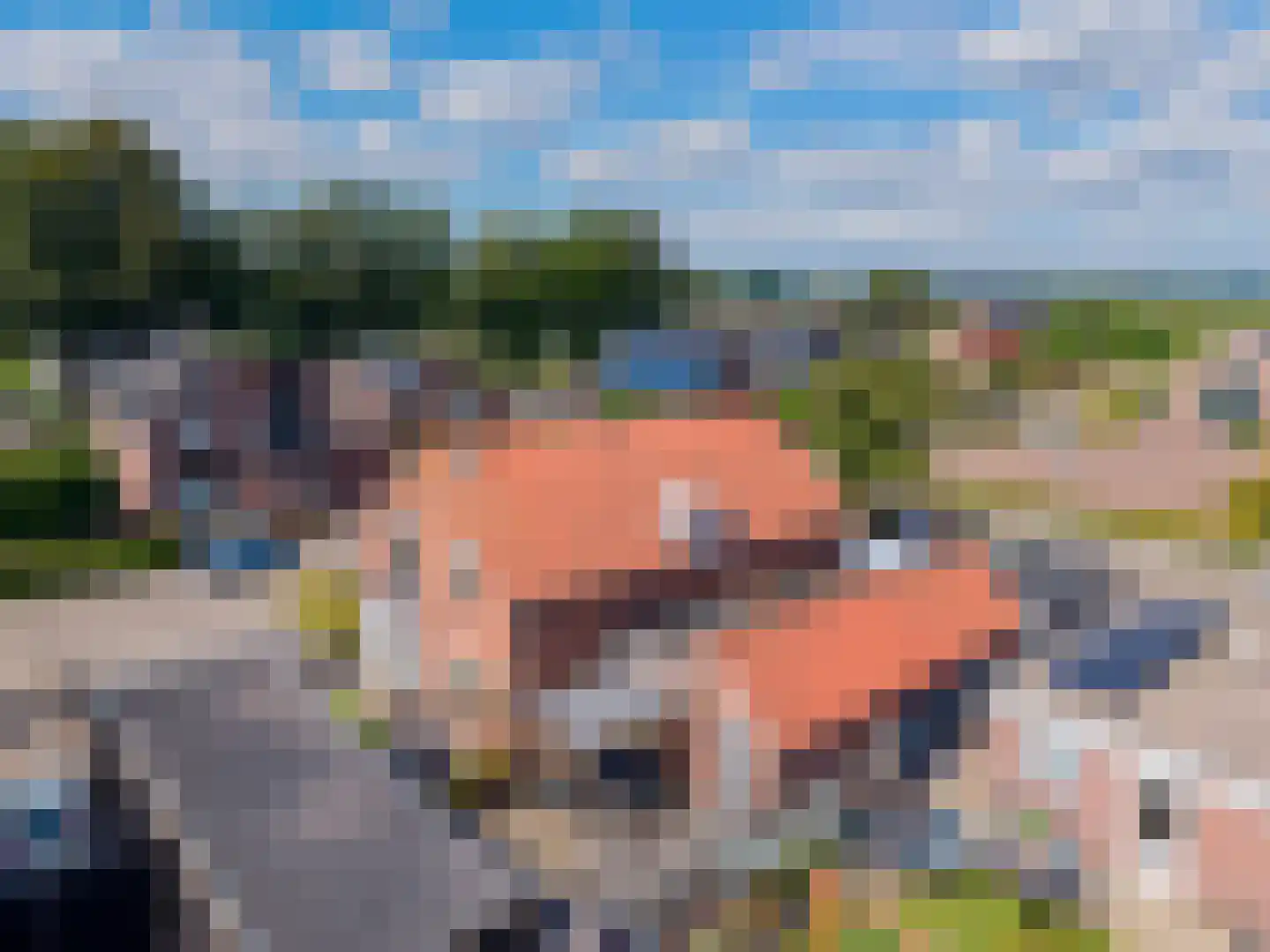 Rustenburgsweg 6 Oldebroek thumbnail 44