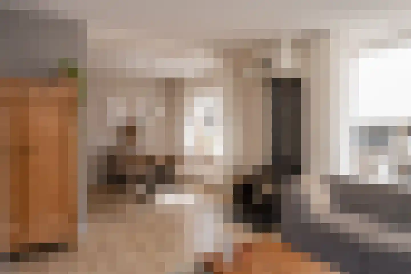 Rustenburgsweg 6 Oldebroek thumbnail 7