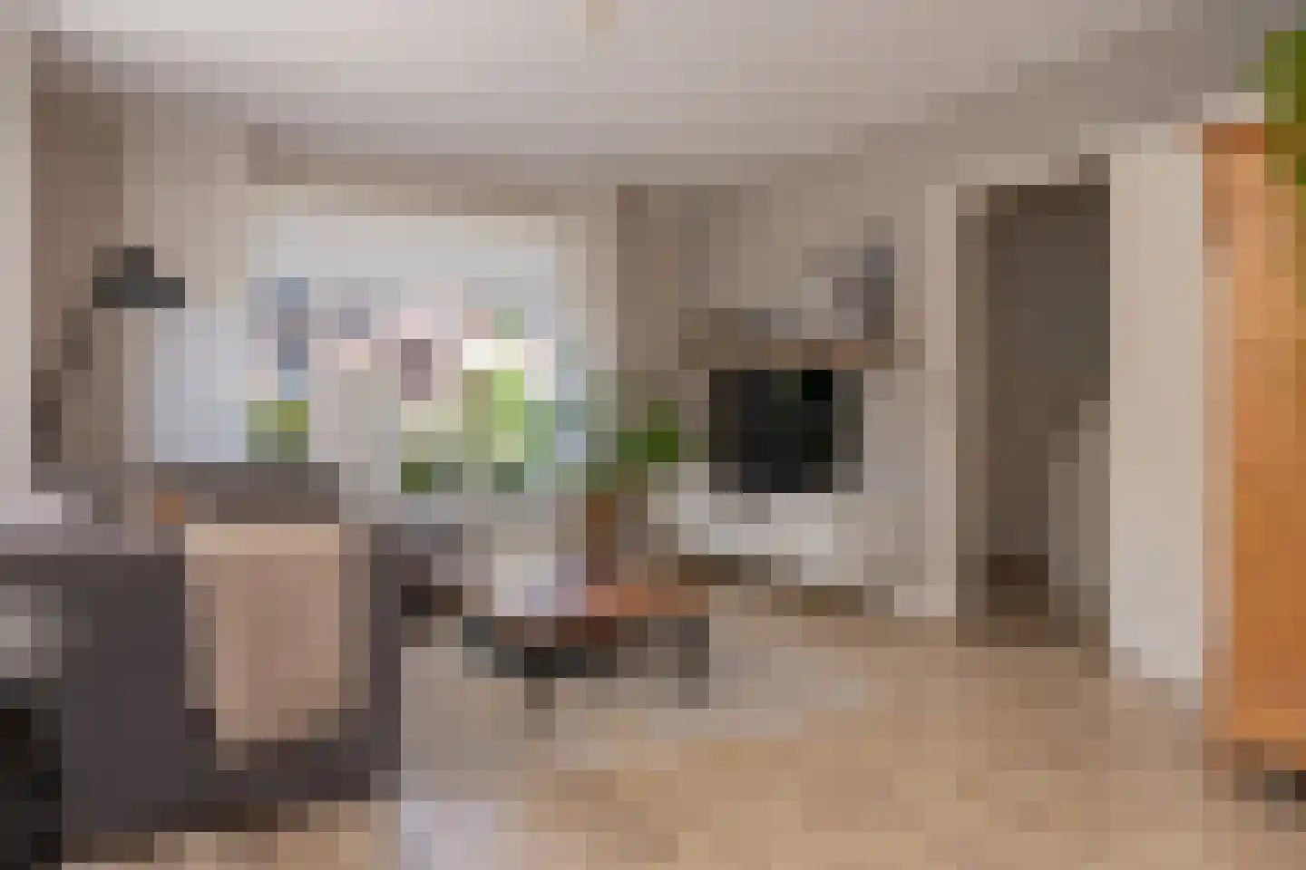 Rustenburgsweg 6 Oldebroek thumbnail 9