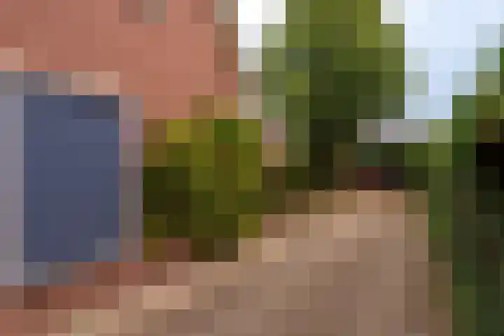 Rustenburgsweg 90 Oldebroek thumbnail 5