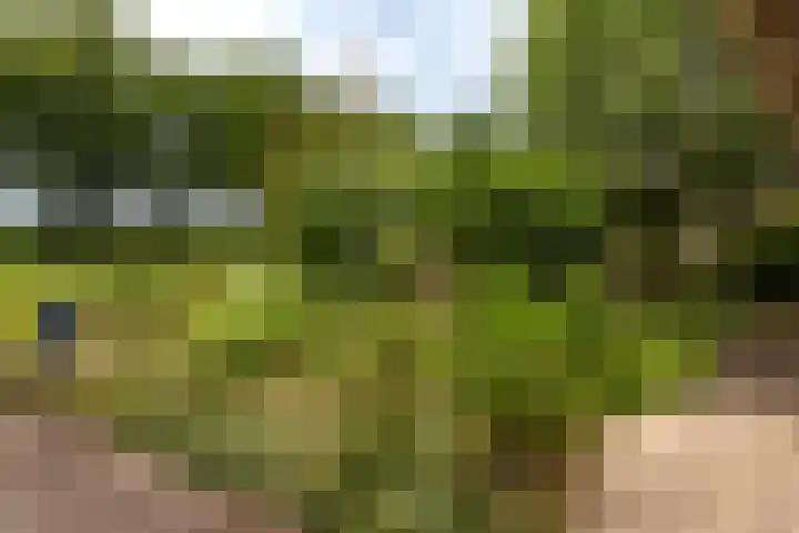 Rustenburgsweg 90 Oldebroek thumbnail 6