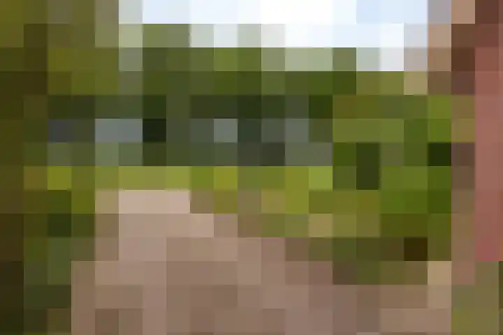 Rustenburgsweg 90 Oldebroek thumbnail 7