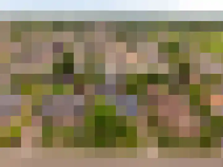 Rustenburgsweg 90 Oldebroek thumbnail 89
