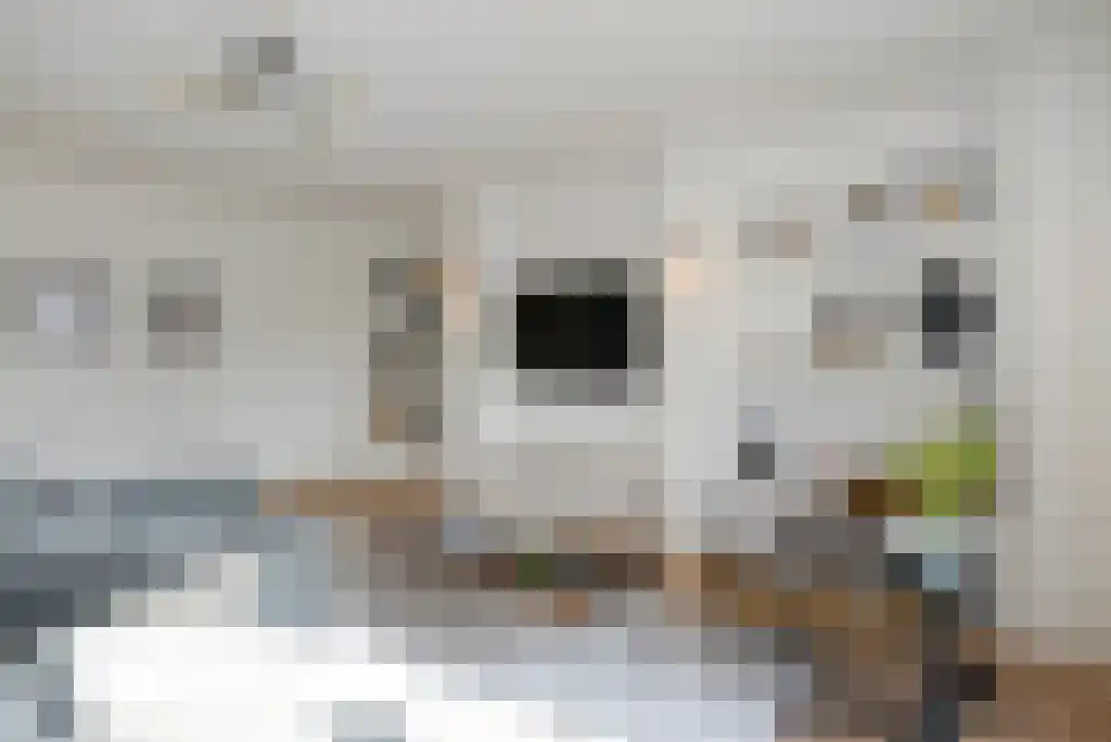 Rusthoekstraat 16 A Den Haag thumbnail 5