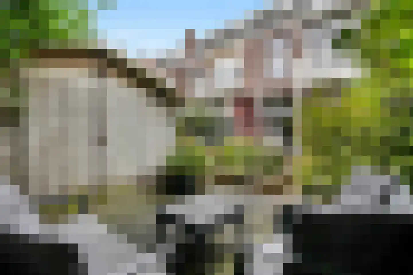 Rusthoekstraat 17 Den Haag thumbnail 32